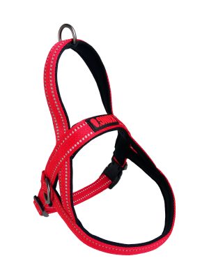 ARNES KONG NORWEGIAN MEDIUM ROJO