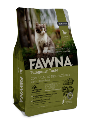 Fawna Salmón gatos Kitten
