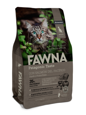 Fawna salmón gatos adultos