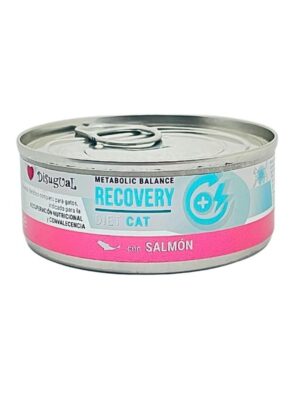 DISUGUAL CAT RECOVERY DIET - SALMON LATA POR 85 GR