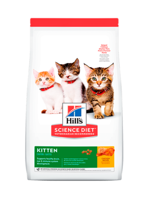 HILLS KITTEN